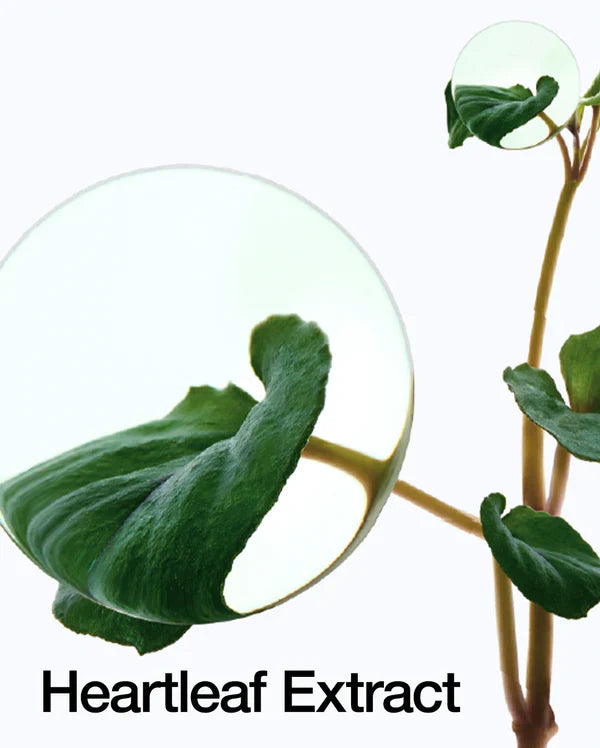 Anua Heartleaf 77% soothing toner